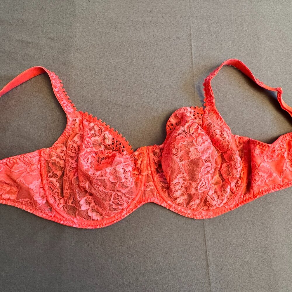 Prima Donna bra 40F